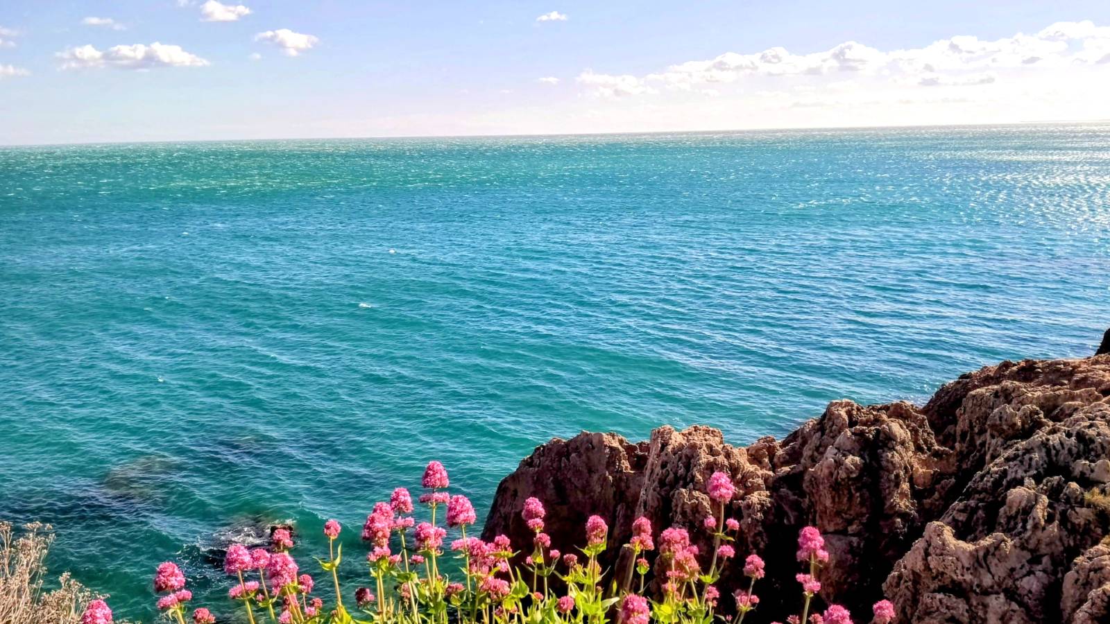 Mer Méditerranée, côte sétoise, fleurs roses et ciel bleu